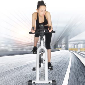 Gym Spinning Bike - SJ-3373 - Image 4